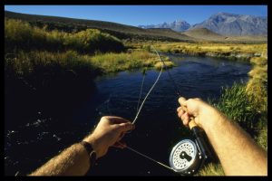 Fishin