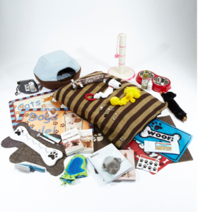 PCH Pet Accessories Contest