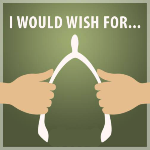 What would you wish for