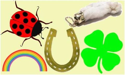 Ladybug, rainbow, horsehoe, clover and rabbits foot luck charms