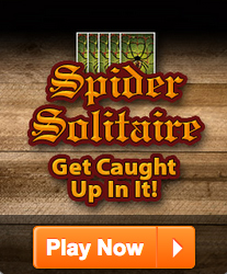 Have You Sat Down Beside Spider Solitaire Yet?
