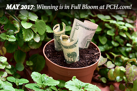 Who’s Winning At PCH.com/games This Month?