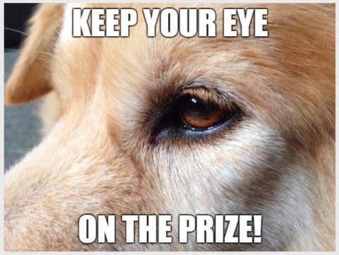 Keep Your Eye on the Prize!
