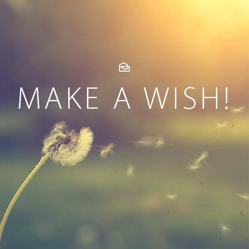 All the money in the world – Make A Wish