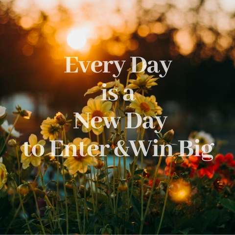 Every Day Is a New Day to Enter & Win Big