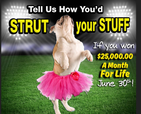 What would YOUR “PCH Victory Walk” look like if You Won $25,000 A Month For Life?