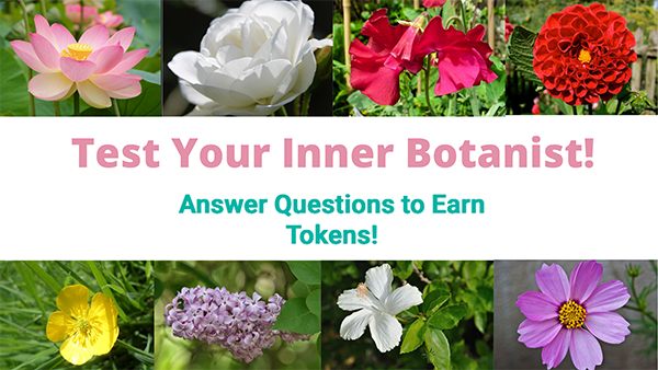 Test Your Inner Botanist With PCHquizzes!