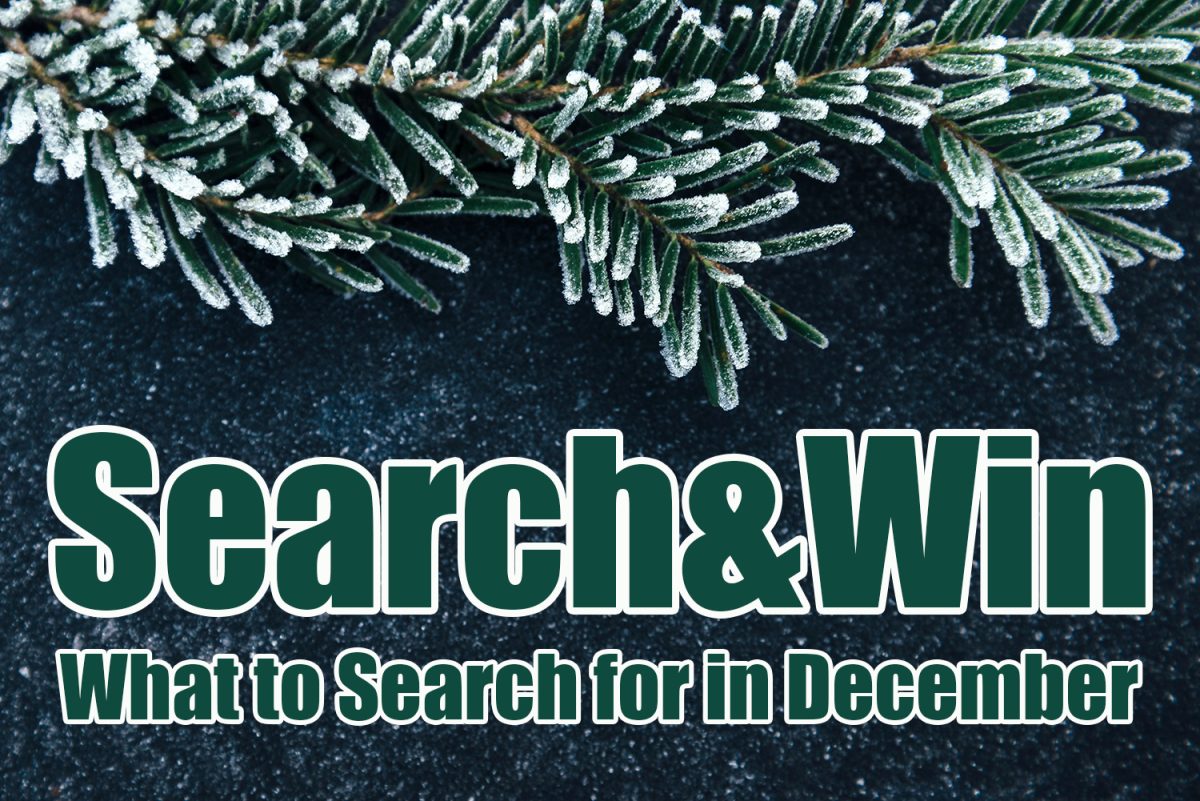 December Search&Win Ideas To Make You Merry and Bright