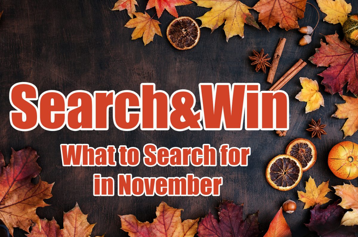 November Search&Win Ideas That Definitely Aren’t Turkeys